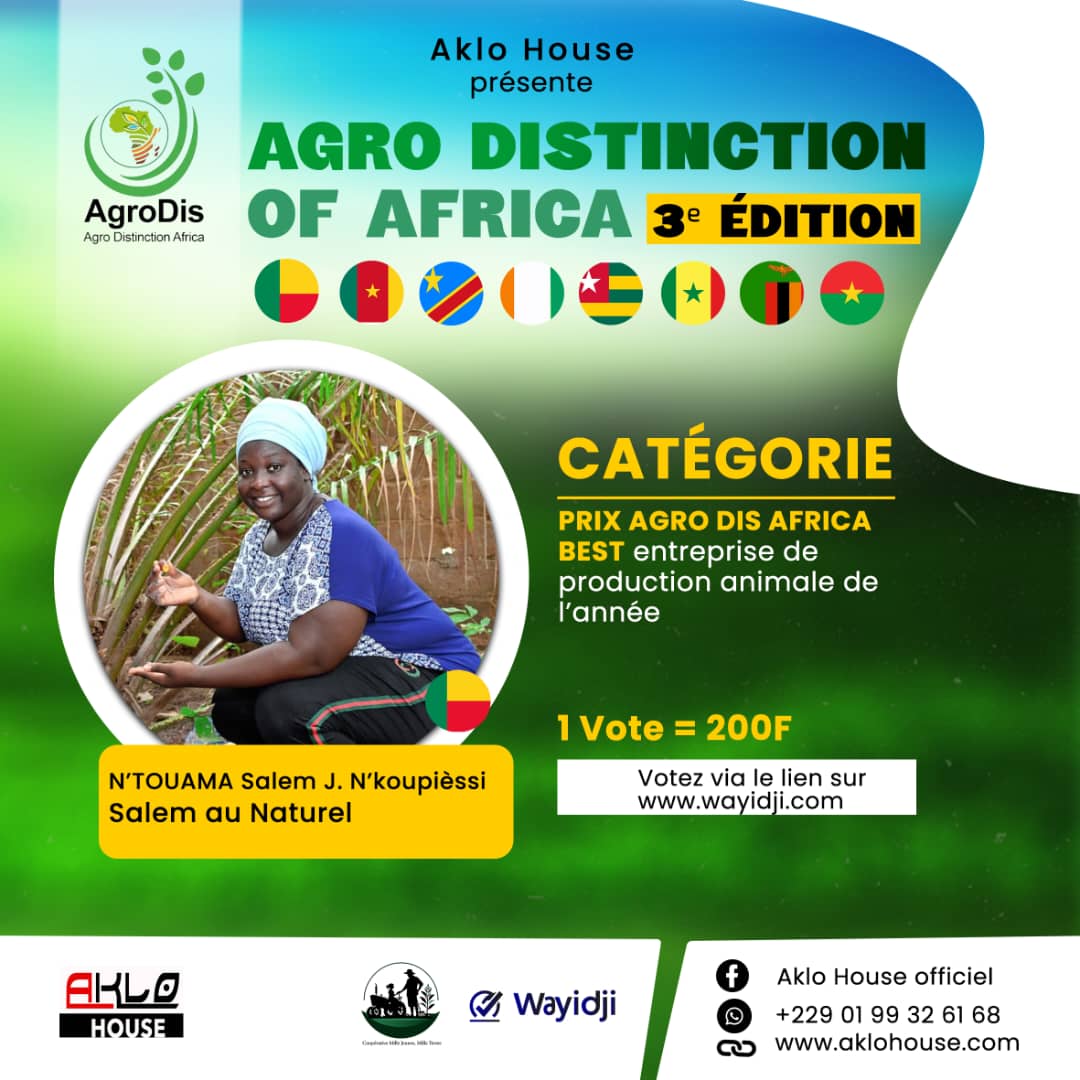 N'TOUAMA Salem J. N'koupièssi