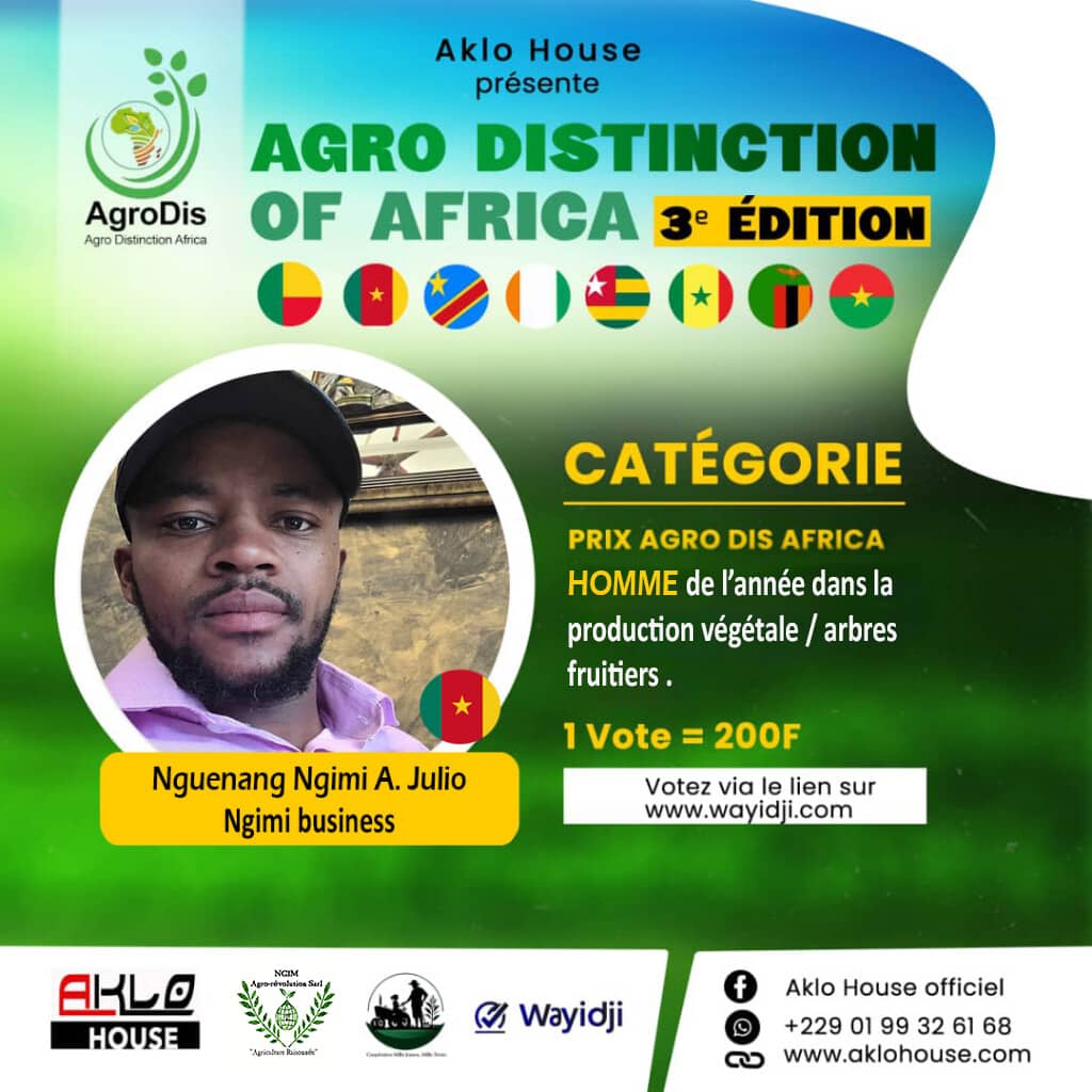 Nguenang Ngimi A. Julio 